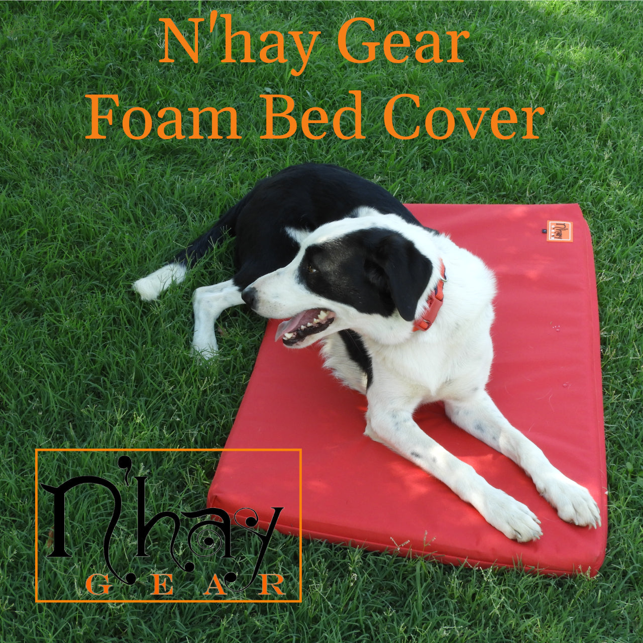 Dog bed hot sale cover only